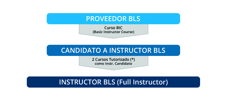1ª Edición curso proveedor BLS (Basic Life Support) + B.I.C. (Basic Instructor Course)